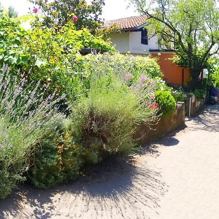 Apartman Carolina - Hillside Stay, Steps From The Sea *