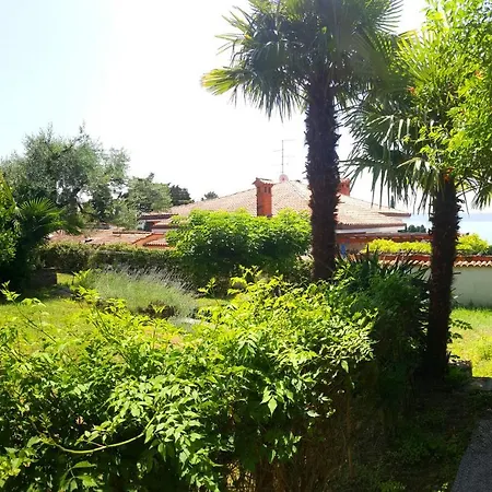 Carolina - Hillside Stay, Steps From The Sea 아파트