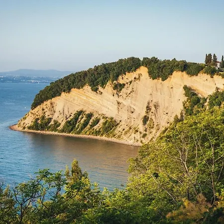 Carolina - Hillside Stay, Steps From The Sea 포르토로즈