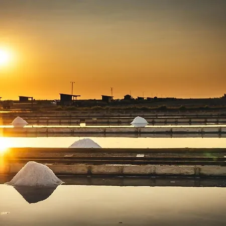 아파트 Carolina - Hillside Stay, Steps From The Sea 포르토로즈